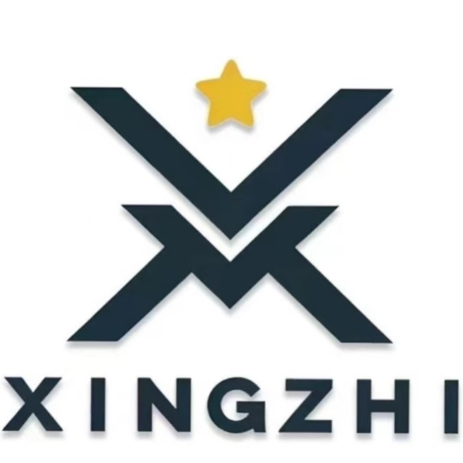 星致跨境Logo